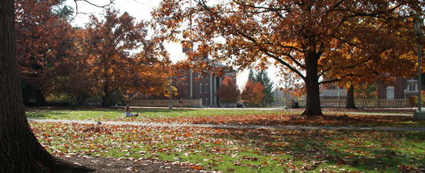 Picture of Quad in Fall